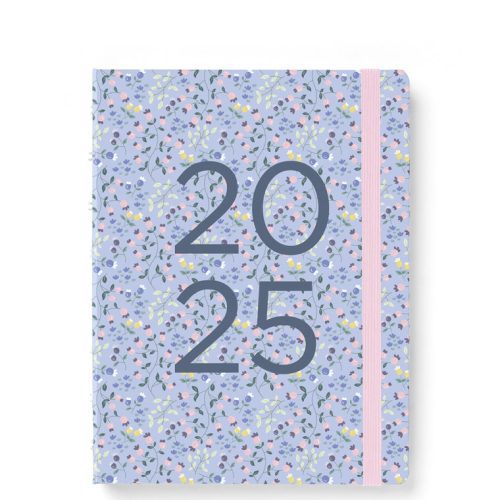 2025 Meadow A5 Planner Sky