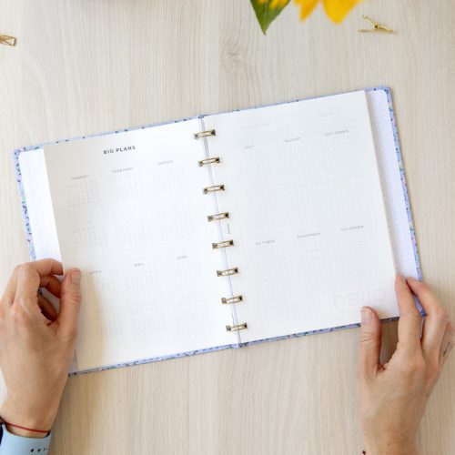 planner lifestyle big plans